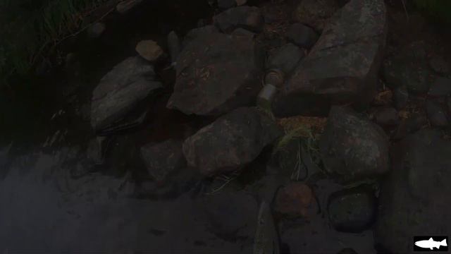 Летняя рыбалка в Мурманской области. Лето на Кольском. смотреть онлайн