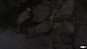 Летняя рыбалка в Мурманской области. Лето на Кольском.