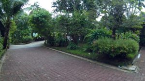 Golden Sand Inn Phuket. Deluxe room.