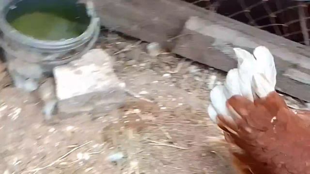 и чем же я занята целый день 😉 смотреть онлайн