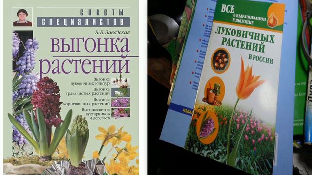 Станиславская Г Б Юный натуралист Изучение литературы по выгонке растений смотреть онлайн