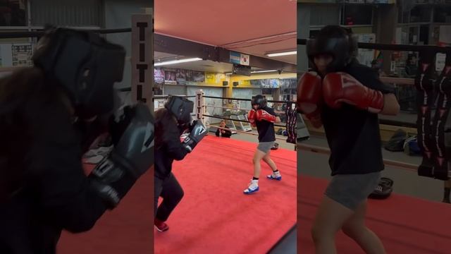 Sparring rounds #shortsfeed #boxeo #boxing смотреть онлайн