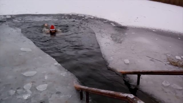 Новогоднее поздравление от МШ из проруби смотреть онлайн