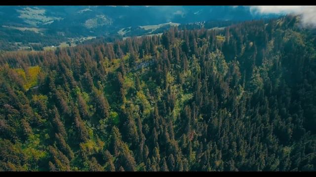 Relaxation music for sleep. "Sound of Nature" смотреть онлайн