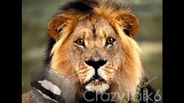 pickuplinescentral funny pick up lines 224 смотреть онлайн