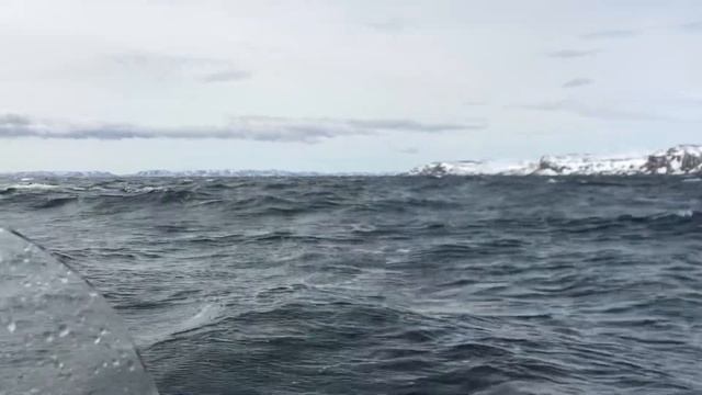 Морская рыбалка в Баренцево море ? смотреть онлайн