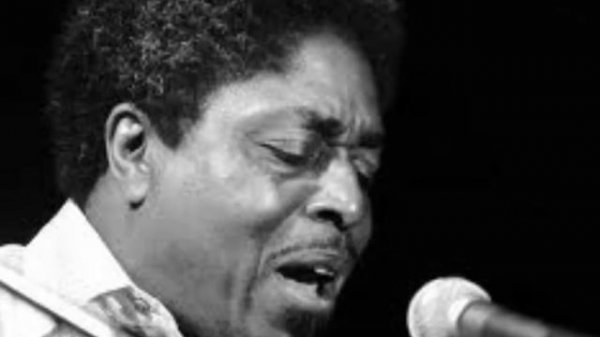 Johnny Shines -- Black Spider Blues (Big Walter Horton on Harp)