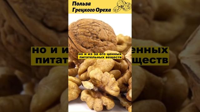 Грецкий Орех - полезные свойства Грецкого Ореха ??? смотреть онлайн