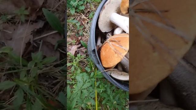 13 сентября 2022 г. смотреть онлайн