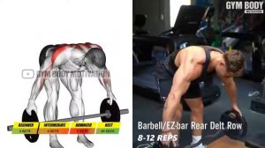 Тренировка плеч со штангой. Лучшие упражнения для набора массы.