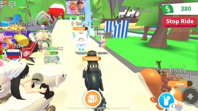 ТРЕЙДЫ НА чёрного фазана. Что дадут??/Адопт Ми/KamaHama_play смотреть онлайн