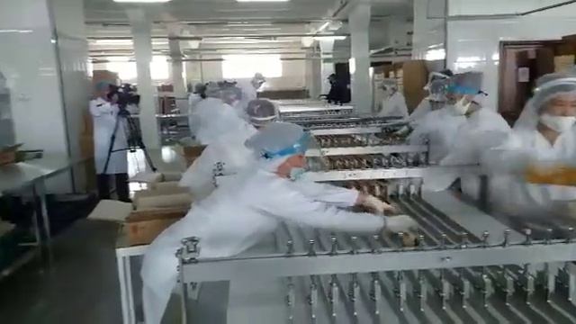 ТОО "Рахат-Шымкент» запустило новую линию по производству сахарного печенья. смотреть онлайн