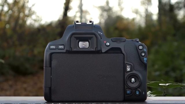 Best Budget DSLR Cameras in 2023 - 5 Cheap Picks For Beginner Photographers смотреть онлайн