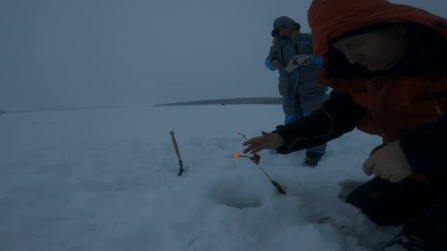 ЗА КОРЮШКОЙ И НАЛИМОМ В ПОЛЯРНУЮ НОЧЬ. смотреть онлайн