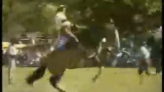 Esse é Ninja!! смотреть онлайн