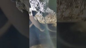 ремонт ходовой части на лада калина