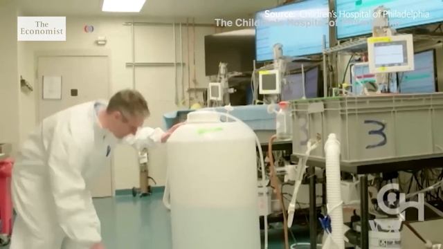 Are artificial wombs the future? смотреть онлайн