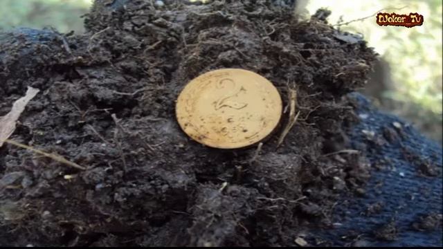 Ака Сигнум мфт 7272 М Выезд на коп! смотреть онлайн