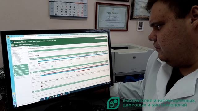 3 ФНЦ риса Дубина Е В.mp4 смотреть онлайн