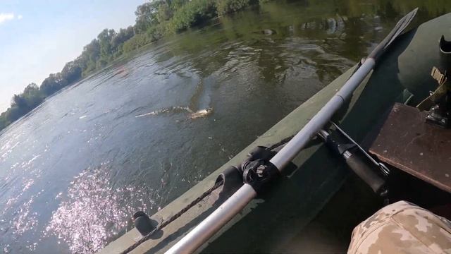 ПОПАЛ НА РАЗДАЧУ ГОЛАВЛЯ (2023) смотреть онлайн