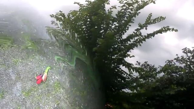 Amaryllis project May-June 2016 смотреть онлайн