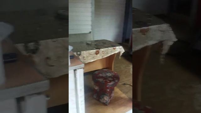Стелс витяз ставлю на хронение смотреть онлайн