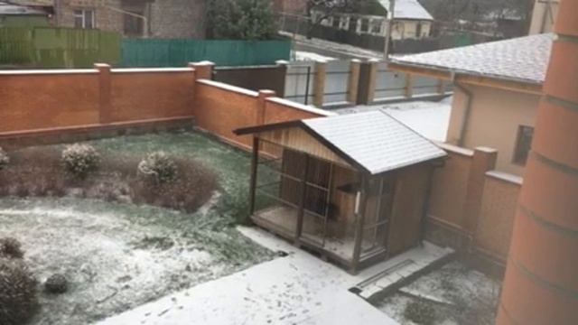 Кормушка для сорок смотреть онлайн