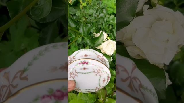 ПРИГЛАШАЮ НА КАНАЛ! У НАС НОВОЕ ВИДЕО! смотреть онлайн