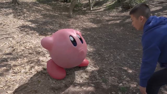 【実写版星のカービィ】カービィにトマトあげてみた смотреть онлайн