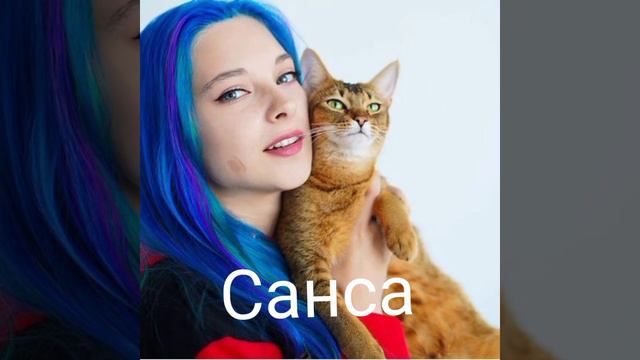 какой Pets из тик тока и ютуба нравится тебе больше 1 часть смотреть онлайн