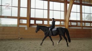 Езда без седла шагом, на рыси и галопом. Баланс