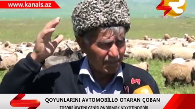 SAMAXIDA MARAQLI COBAN смотреть онлайн