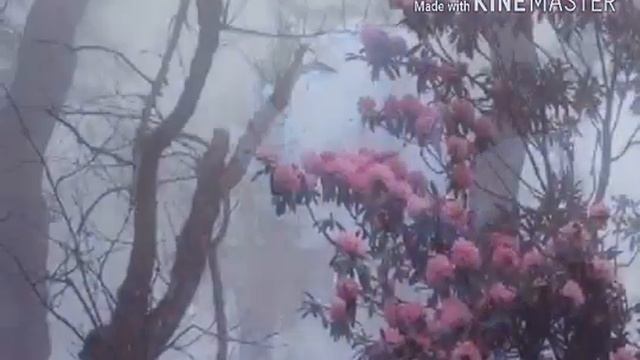 С 8 марта!!!!!! смотреть онлайн