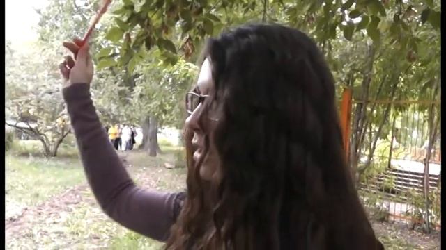 мы пришли в политех 2011 смотреть онлайн