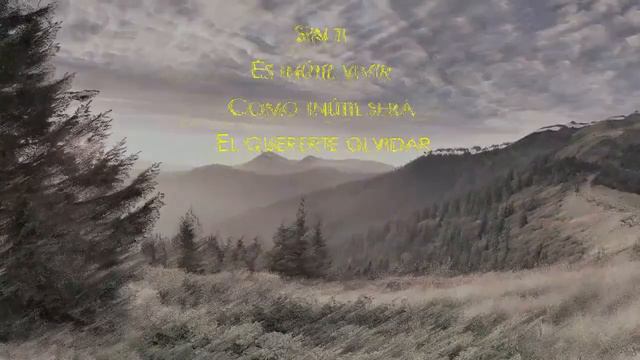 Sin ti, los panchos (Karaoke) смотреть онлайн