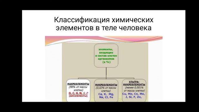 7 класс. Химические элементы в организме человека. смотреть онлайн