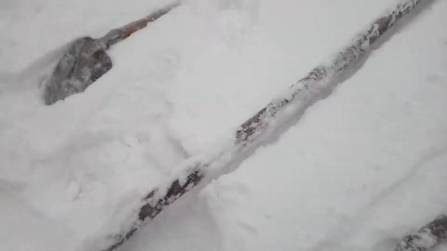 Открыли снегоходный сезон на "Койре 15Т" смотреть онлайн