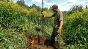 Трава по шею, копаю вглубь #423