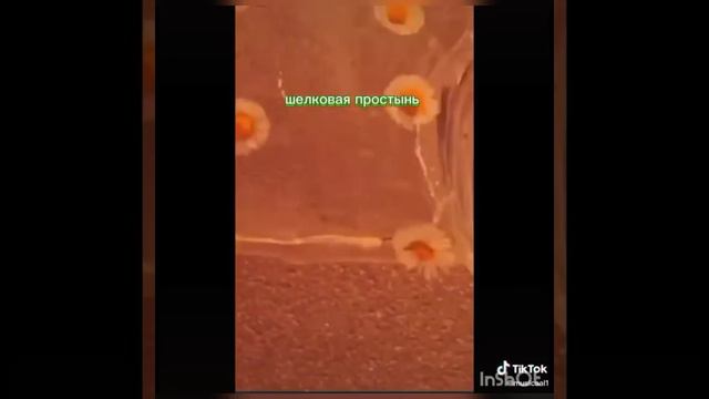 Топ Музыка,слушай на удовольствие ❤️❤️❤️✌️ смотреть онлайн