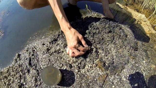 рыбалка на море ловля пеленгаса ч.2 поиск и добыча наживки смотреть онлайн