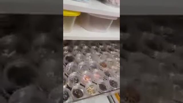 Обзор наполнения шкафа? смотреть онлайн