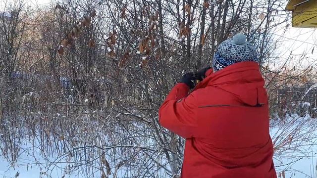 Хобби-Дача(Сибирь) смотреть онлайн