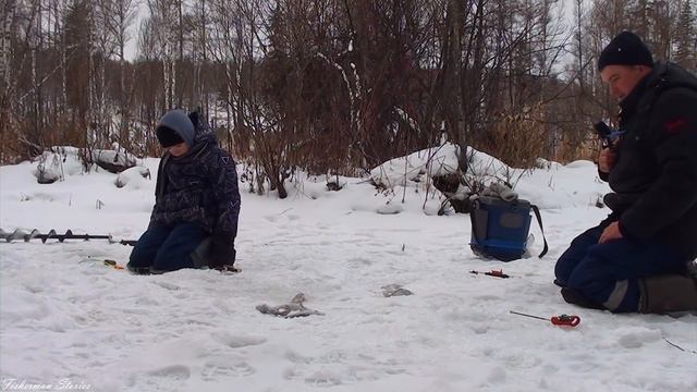 ХАРИУС УТАСКИВАЕТ УДОЧКИ. НЕОБЫКНОВЕННАЯ РЫБАЛКА НА МАЛОЙ РЕКЕ. смотреть онлайн