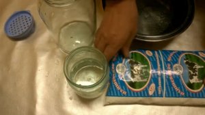 Тибетский молочный гриб. Как хранить тибетский гриб без молока.