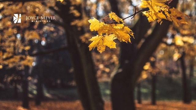 26 octobre | Le prix élevé d'un style de vie peu élevé – Méditation Quotidienne par Joyce Meyer смотреть онлайн