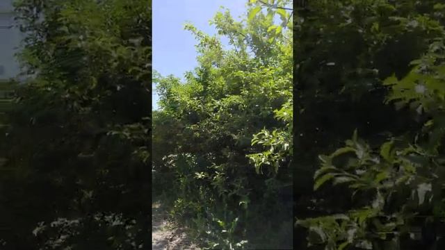 Алматы алтын сити достор каналга катталып койгула базар бааларын билип турасыңар смотреть онлайн