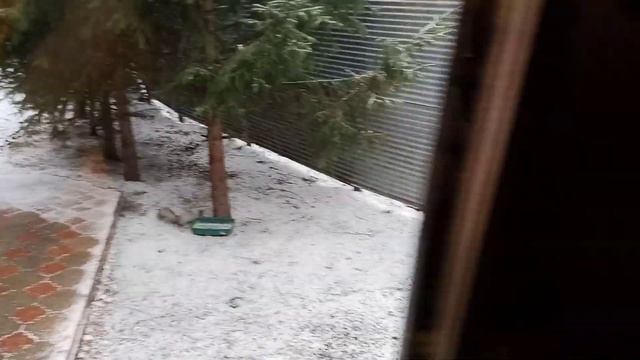 и дерутся и ругаются смотреть онлайн