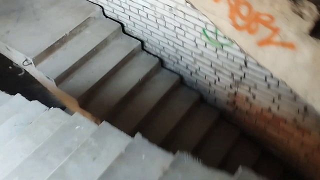 Птичка Орск смотреть онлайн