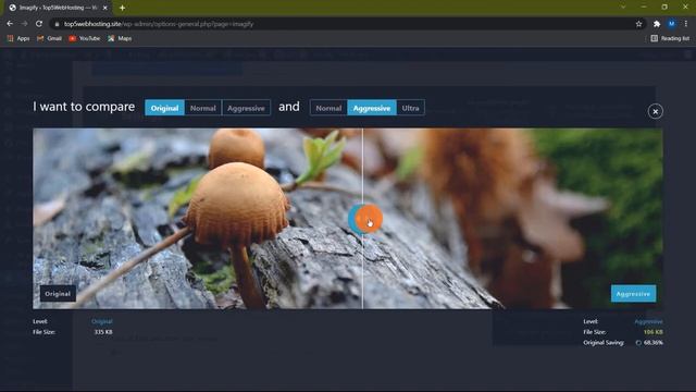 Imagify WordPress Plugin Tutorial | Best Image Optimization Plugin | Imagify Review смотреть онлайн