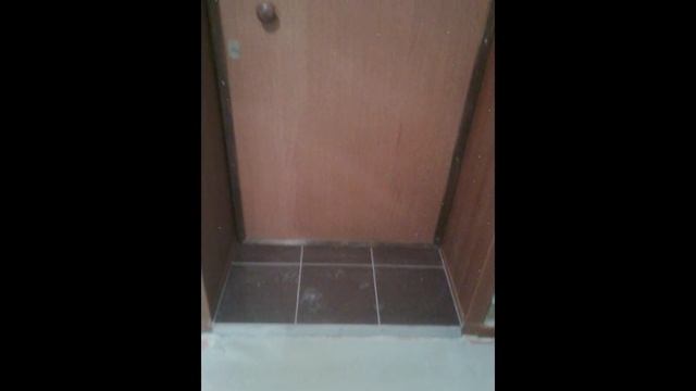 Отделка стен и потолка Пластиковыми панелями. Ремонт в Сталинке смотреть онлайн